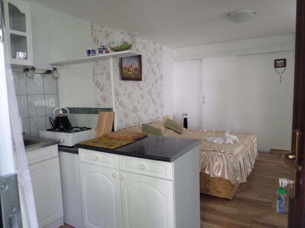 Bori Apartmanok Hajduszoboszlo Exterior photo